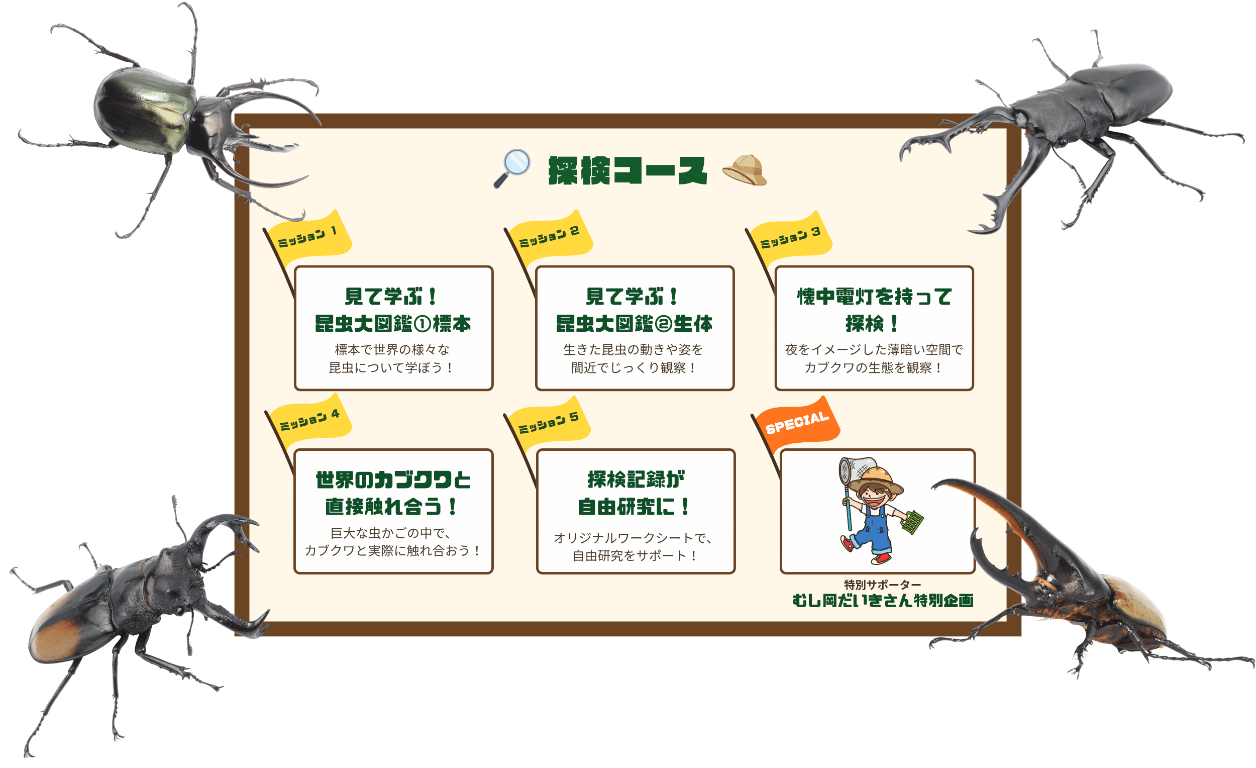 探検コース