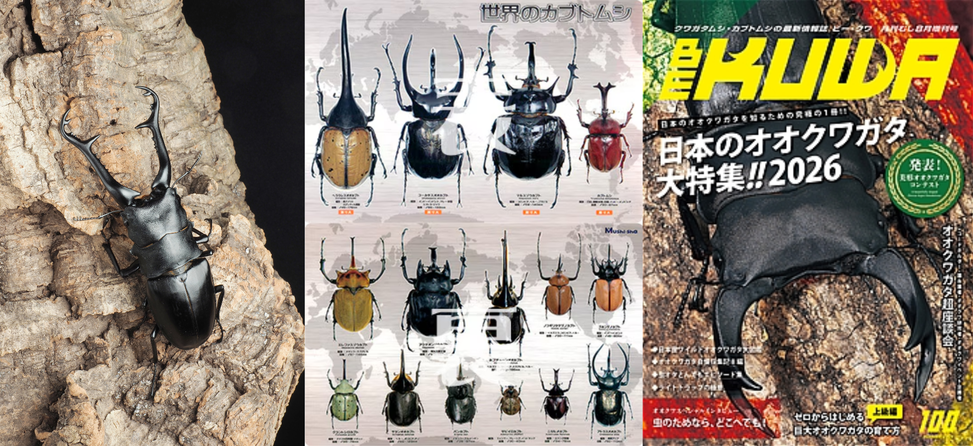 むし社商品