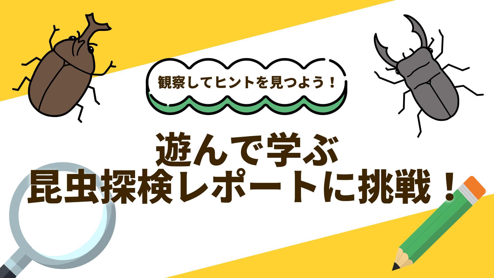 昆虫クイズ1