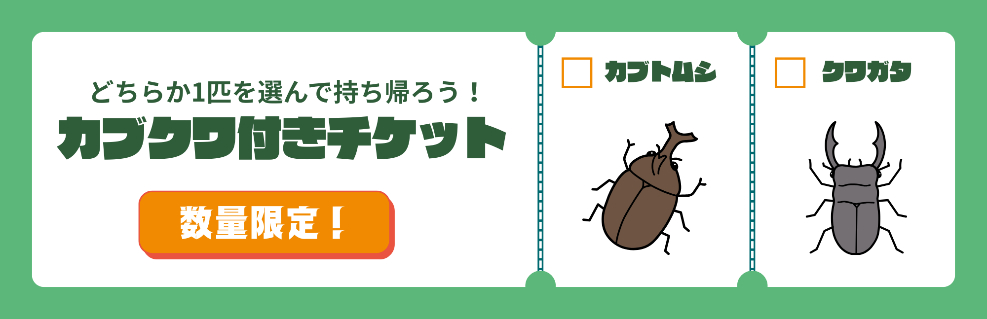 数量限定！カブクワ付きチケット どちらか1匹を選んで持ち帰ろう！